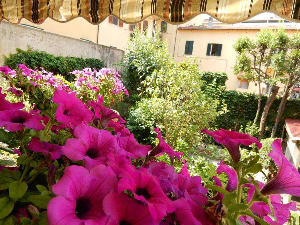 Villa Gini Pisa Exterior foto